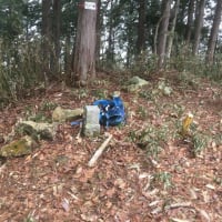 2025.4.22  サンノーの高（岐阜県）
