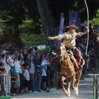 大荒比古神社 七川祭り......流鏑馬 part 2