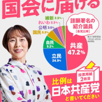 参院選の大争点　アメリカいいなり続けていいのか。
