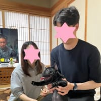 ＊＊テンちゃん　巣立って行きました♪＊＊