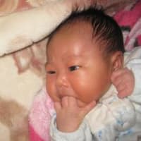 記事のタイトルを入力してください（必須）