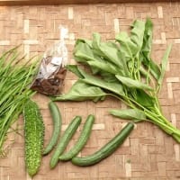 今週の野菜から ～7月〔1〕回目
