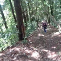 高縄山（R7.5.7）