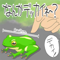 「デッカイ〇〇」
