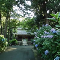 ◆令和6年9月の税務