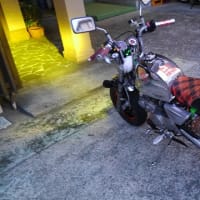 ホットウィールと従弟のゴリラ