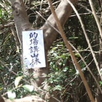 市有山林使用山境