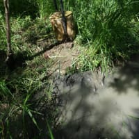 断水の次は漏水・・・