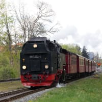 806-ドイツ　ハルツ狭軌鉄道（３）