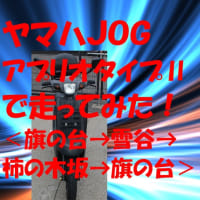 アプリオちゃんで走ってみた！＜旗の台→雪谷→柿の木坂→旗の台＞