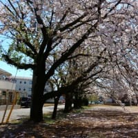 時代の流れには逆らえず