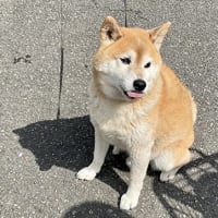 gooblog終了するらしい。
