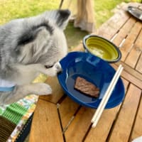 バーベキュー