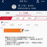 1km×3 25.5.28(水) 