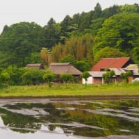 静岡県・富士宮市の「狩宿の棚田」
