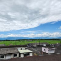 関西企業を案内/鹿児島での活動