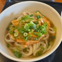 冷やしうどん