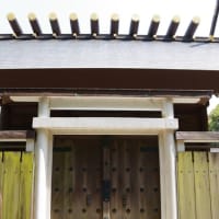 愛媛県西条市、中野甲「伊曽乃神社」です！！