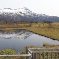 春の北海道・知床（しれとこ）