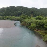 本日の海部川