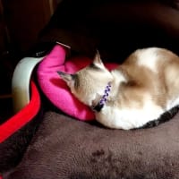 あっという間の1週間 🍀