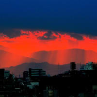 🐉🌈東京の神々しい【天使の梯子】光景❢❢