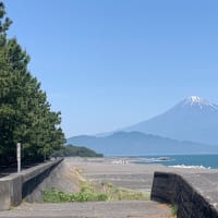 共存の意味が変わる日本　お誕生日、「禁断の地」静岡旅行ご報告