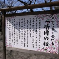 東京の開花宣言（発表）は靖国神社の桜が基準。
