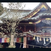 初詣へ