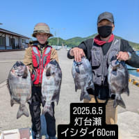 2025年6月分、パイン5号の釣果