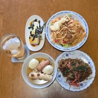 解離でも晩酌するぜ！！w