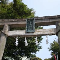 夏休み保田港ばんや＆三崎港うらりへの航海