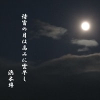 待宵の月は高みに雲早し　　浜木綿