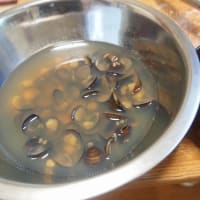 しじみ