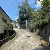 川崎市岡上付近の急坂を巡る②〜斜度42°はすごい