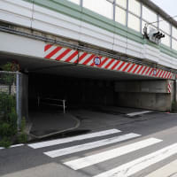 ❺潮風いざなう初夏の名古屋港と藤前干潟