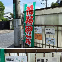 野菜の販売を始めました