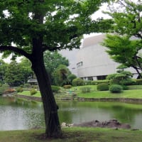 両国の旧安田庭園に樹木の間から涼しい風が流れた