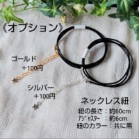 オプション増えました