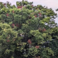 嬉しい事色々🍀