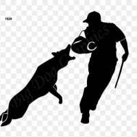 用心棒犬ってどんな犬？