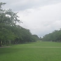 曇天で湿気多く蒸し暑く雨を気にしながら