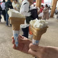 2025 EXPO  トルコアイス