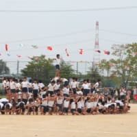 小学校の運動会2012