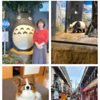 それぞれ旅に出る