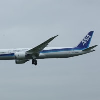 24-04-27(Sat) Fukuoka  A320N  B-303F お泊り　朝帰り↗