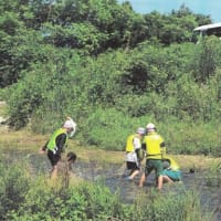 105-令和六年度 第21回 全国一斉調査結果の内から長野県版が閲覧できます。