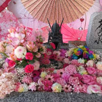 諏訪神社の花手水は春色満載、