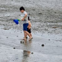 梅雨末期の海浜風景・・・2026年6月