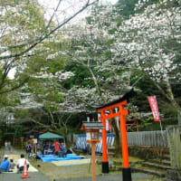 【御礼】桜祭り＠若山神社でした♫